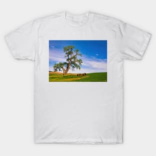 Lone Tree in the Palouse T-Shirt